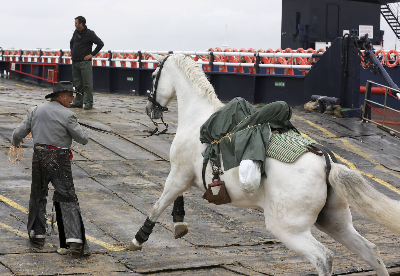 Fotos: Cádiz comienza la peregrinación a la aldea de El Rocío