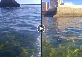 Las pozas naturales de la playa de La Caleta en Cádiz, ¿dónde se esconden?