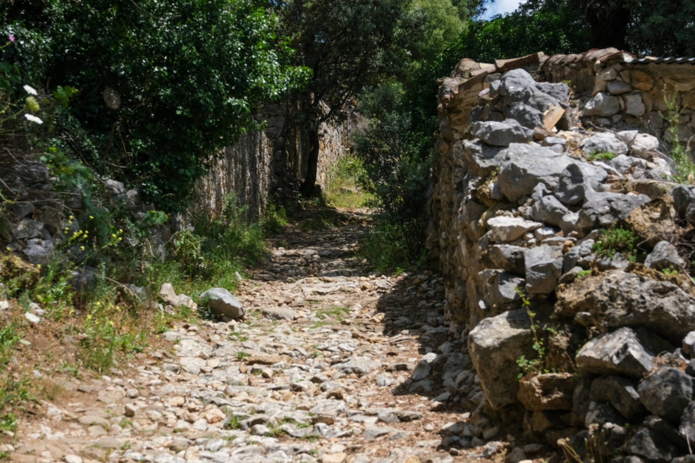 Fotos: Así es el viaje al Benaocaz más hippie