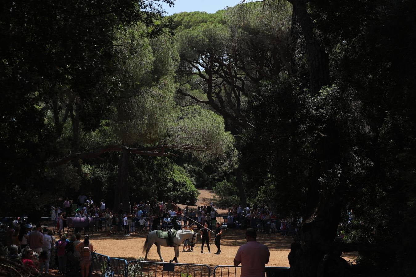 Fotos: Gran domingo de feria en Puerto Real