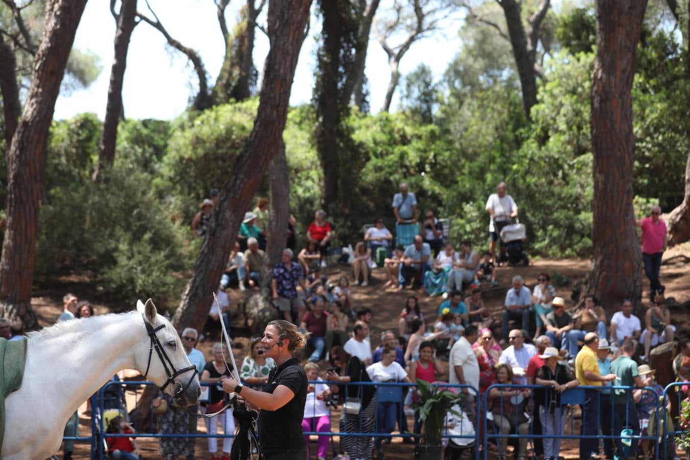 Fotos: Gran domingo de feria en Puerto Real