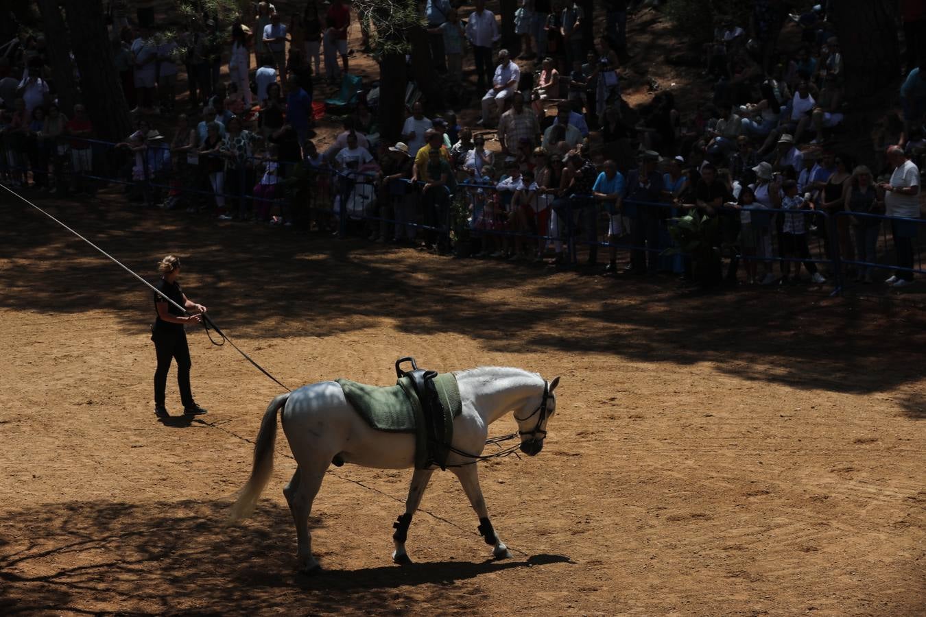 Fotos: Gran domingo de feria en Puerto Real