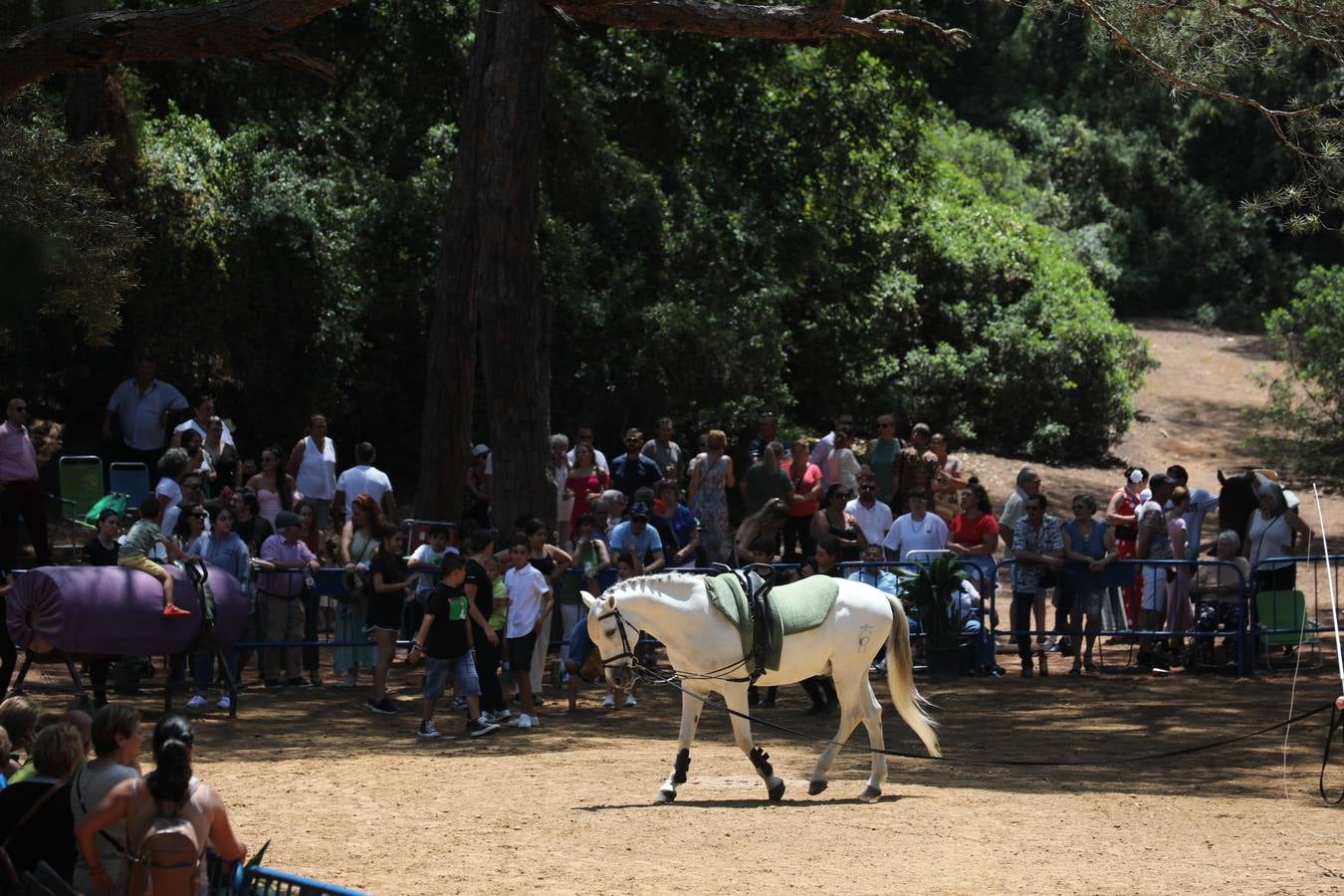 Fotos: Gran domingo de feria en Puerto Real