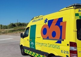 Herido un bebé de un año en un accidente  a la altura de Jerez
