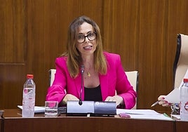 Cruce de acusaciones entre PP y PSOE por la adjudicación a Barbeal de dos obras de emergencia