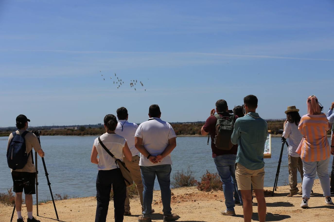 Fotos: Recuperadas las salinas de Balbanera