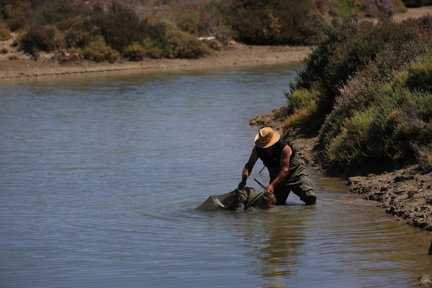 Fotos: Recuperadas las salinas de Balbanera