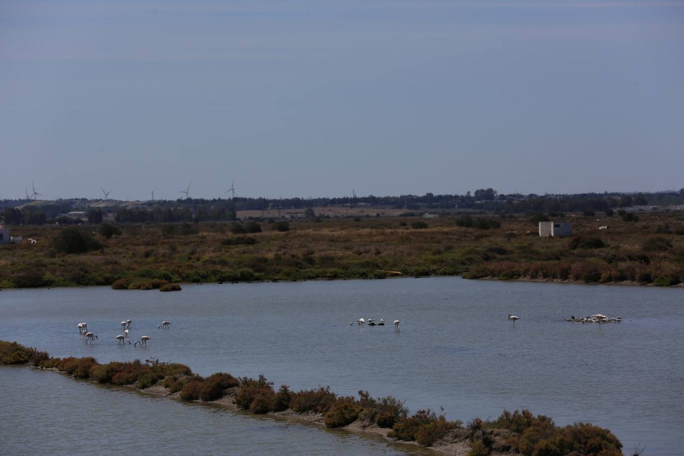 Fotos: Recuperadas las salinas de Balbanera