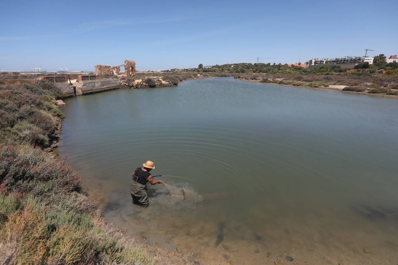 Fotos: Recuperadas las salinas de Balbanera