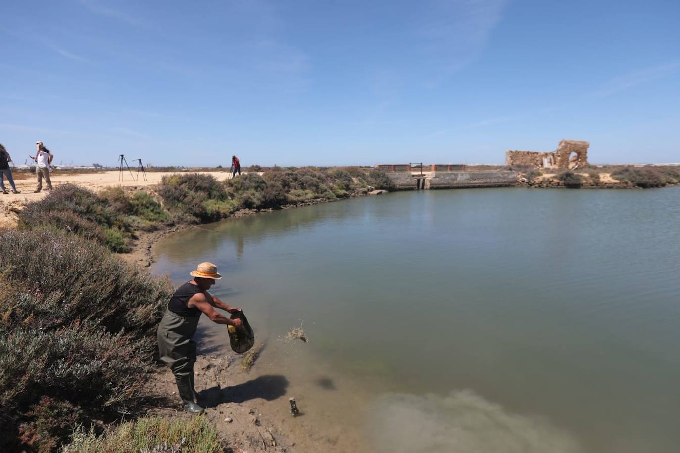 Fotos: Recuperadas las salinas de Balbanera