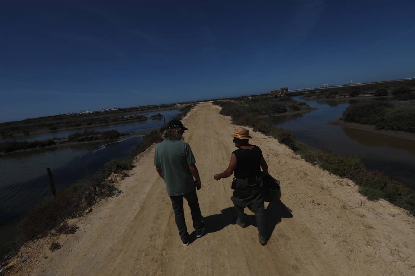 Fotos: Recuperadas las salinas de Balbanera