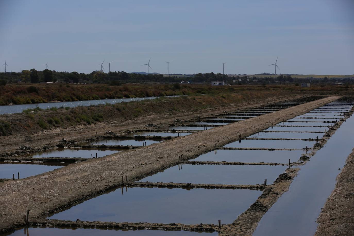 Fotos: Recuperadas las salinas de Balbanera