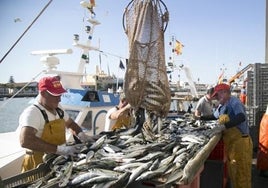 Aguas revueltas en la pesca de Cádiz