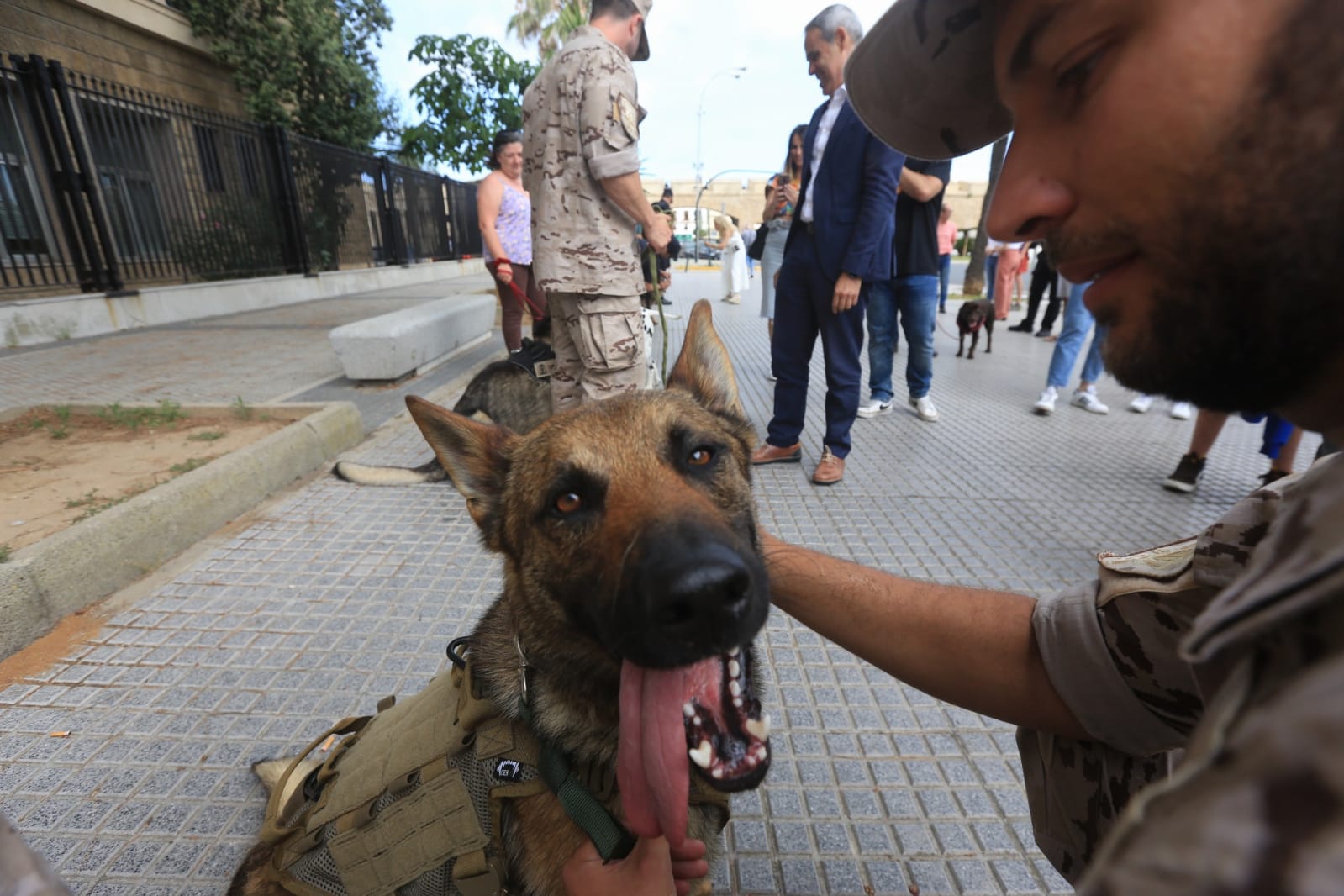 Las imágenes de la campaña de sensibilización para la tenencia responsable de mascotas