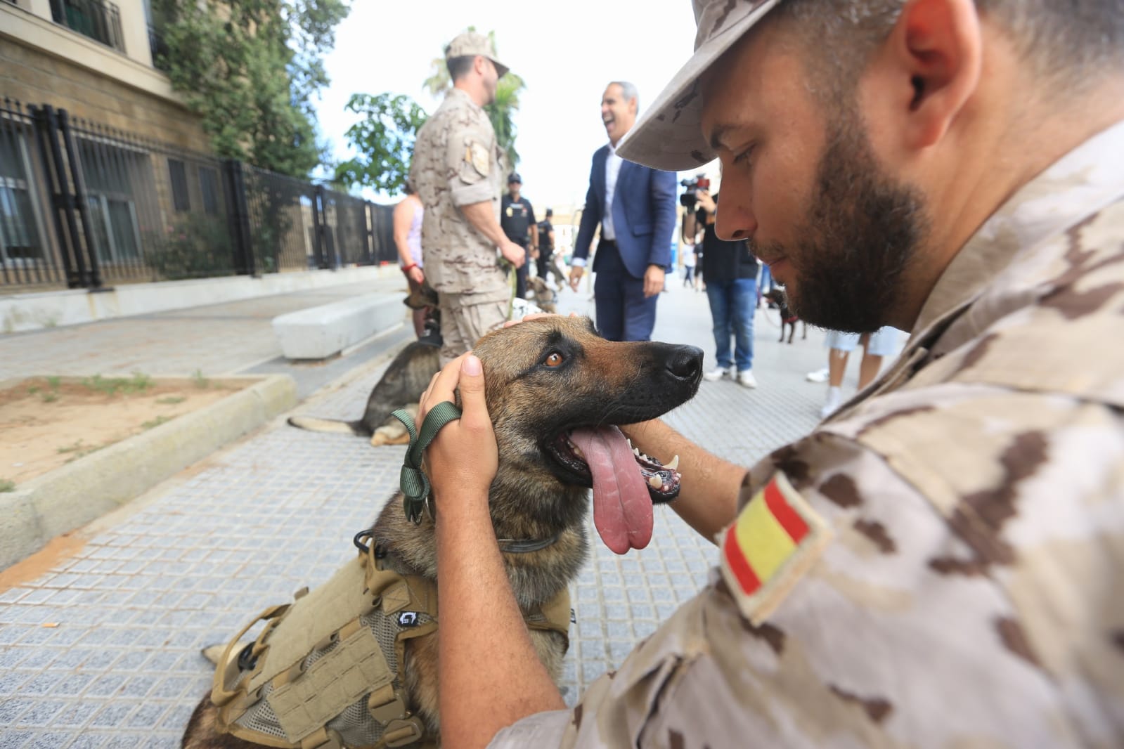 Las imágenes de la campaña de sensibilización para la tenencia responsable de mascotas