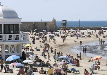 La Policía Local detiene a dos personas por robar móviles en la playa de La Caleta