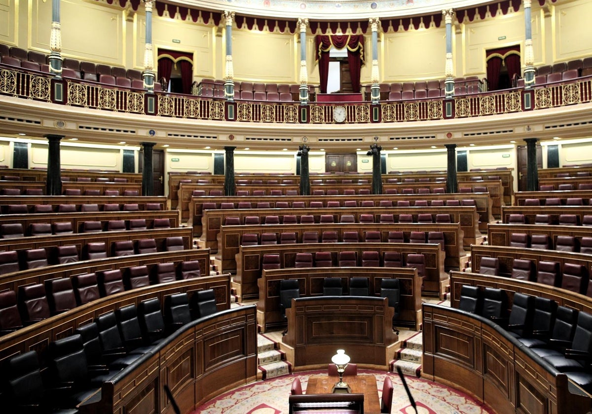 El Partido Feminista no se presentará finalmente por Cádiz