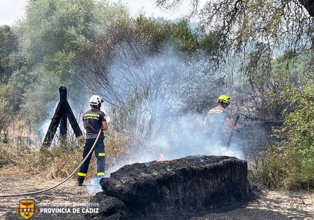 Efectivos de Bomberos actúan en un incendio registrado en un paraje de Arcos.