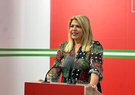 El PSOE repasa todas las medidas sociales que han beneficiado a la mayoría de familias de la provincia