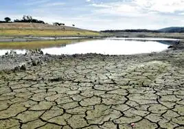 Mapa de la sequía en Cádiz: la falta de lluvia obliga a limitar el uso del agua este verano