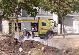 Vecinos de Puerto Real estallan contra el Ayuntamiento tras el segundo incendio de una parcela