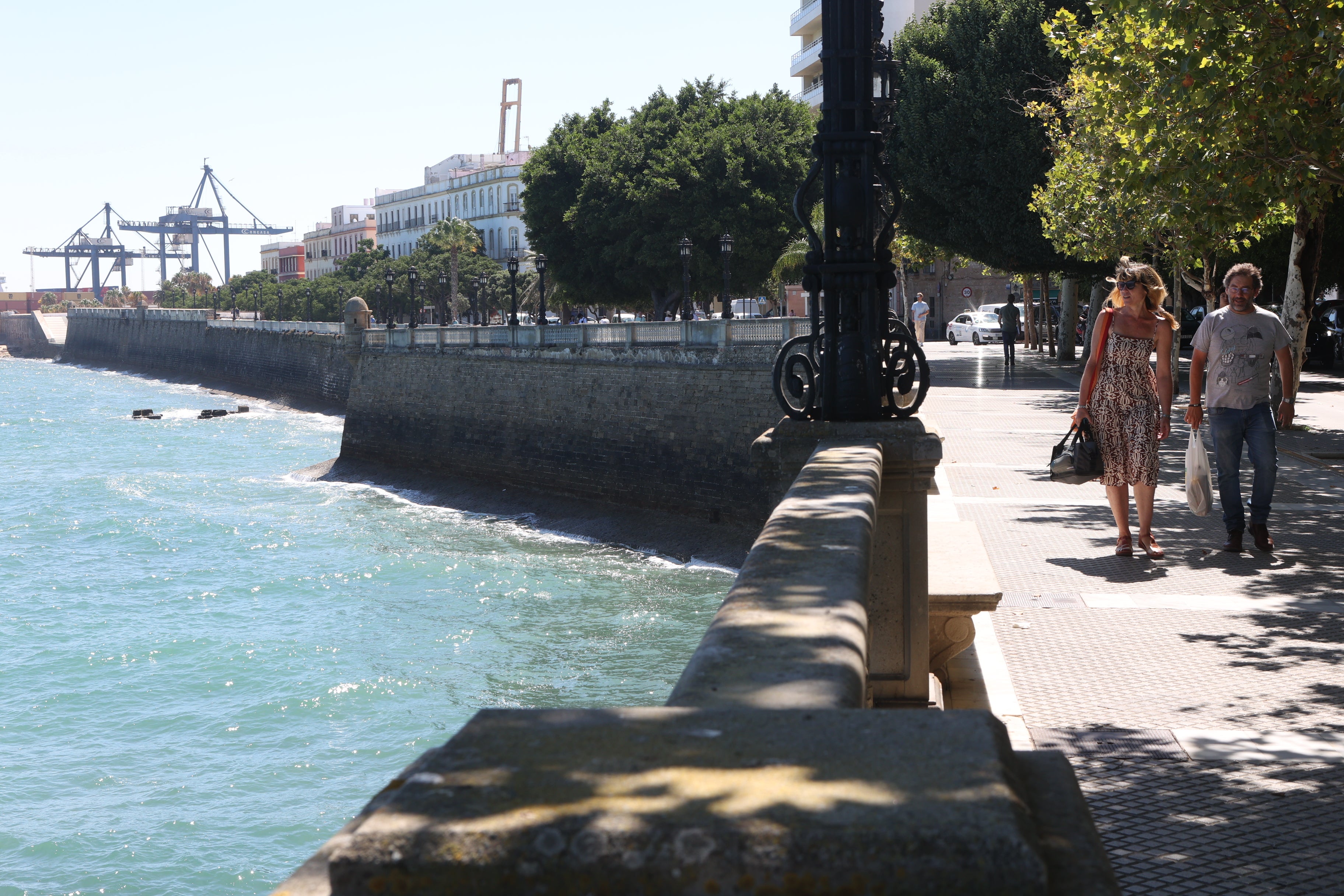 Fotos: El estado de las murallas de Cádiz