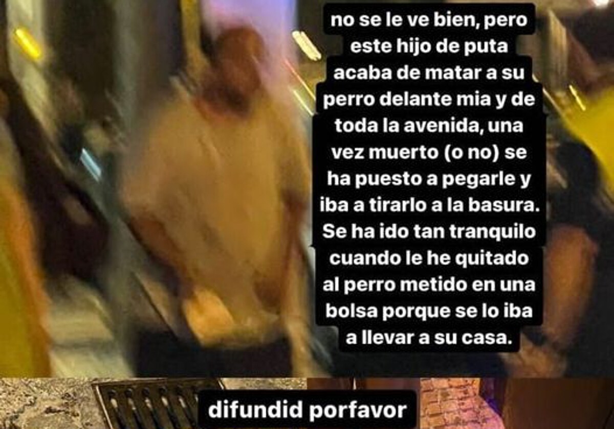 Conmoción en redes sociales tras el atropello de un perro en la avenida Cayetano del Toro en Cádiz