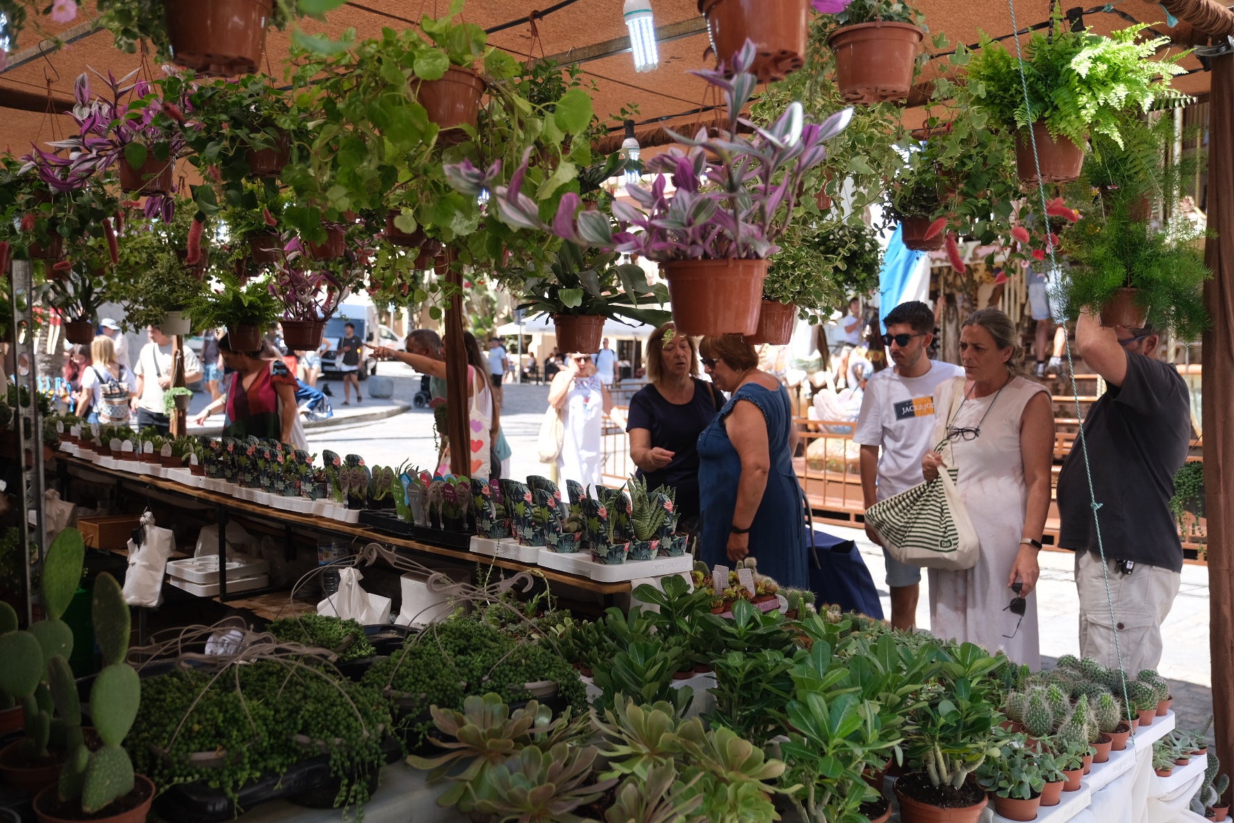 Fotos: Inauguración del Mercado Andalusí