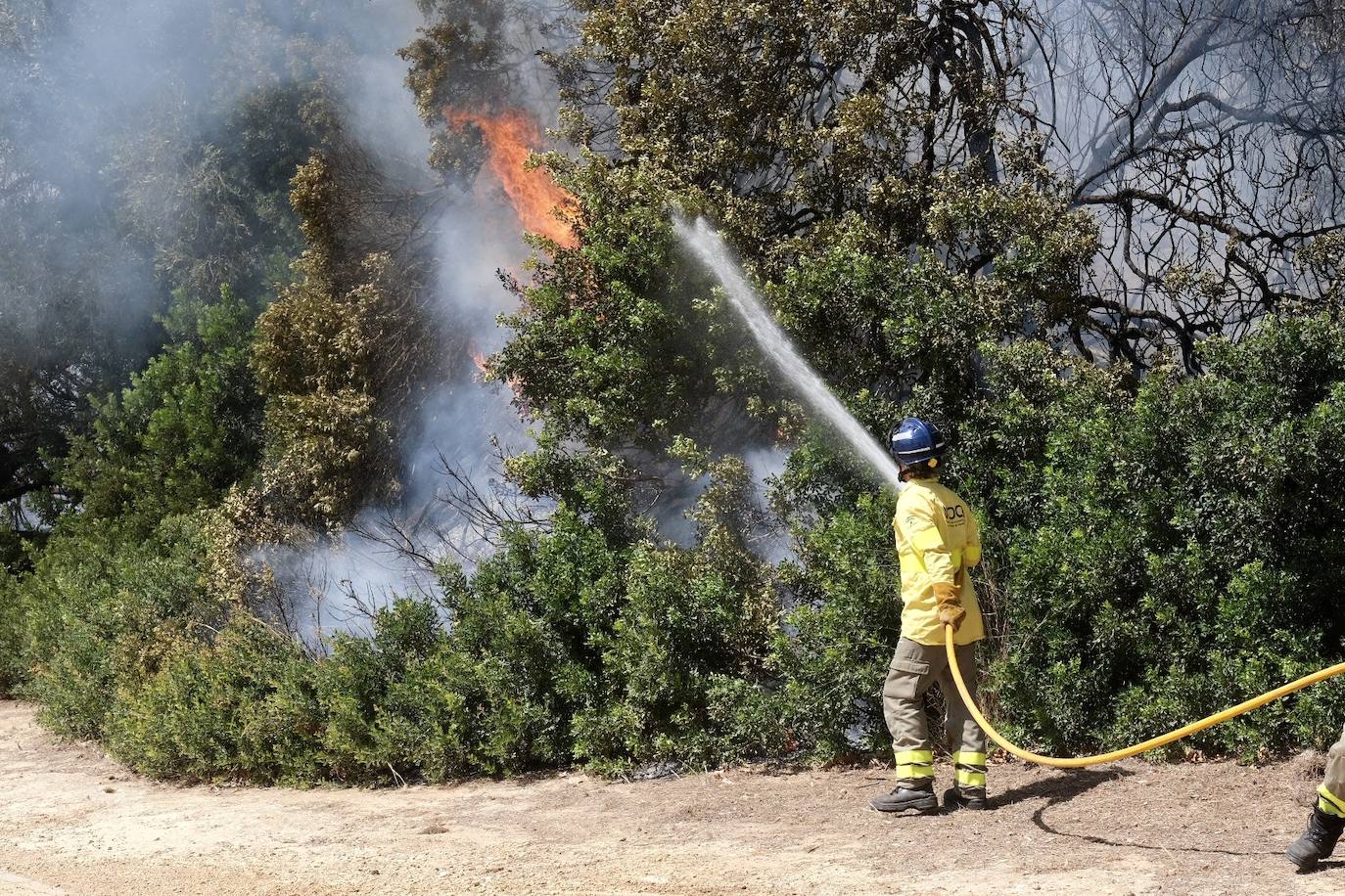 Fotos: el incendio en las Canteras de Puerto Real, en imágenes
