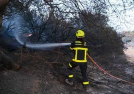 Infoca da por controlado el incendio en Puerto Real pero seguirá trabajando  para su extinción total