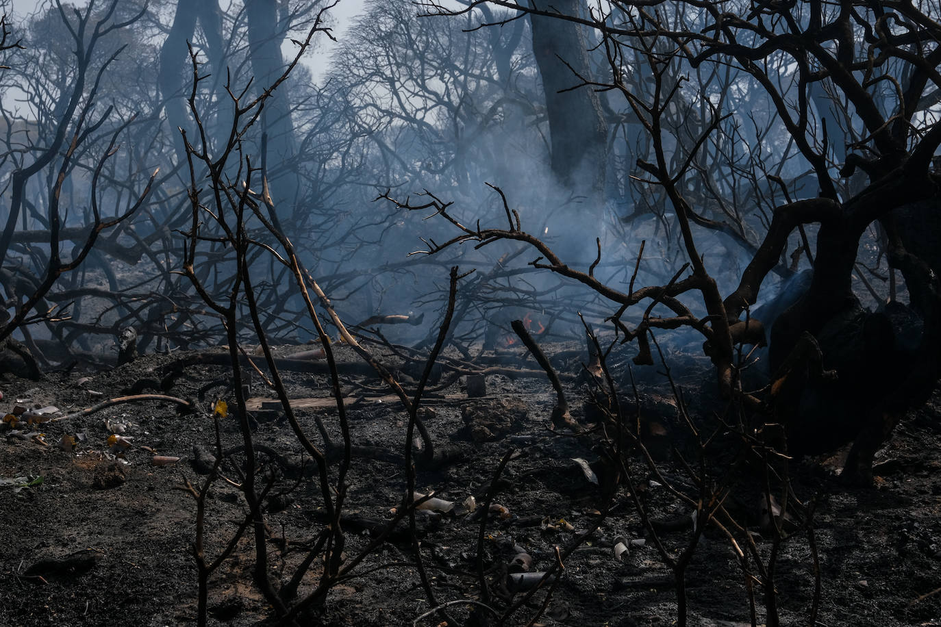 El día después en Puerto Real: la ciudad despierta entre las cenizas