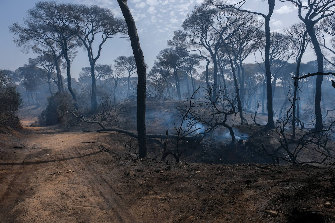 El día después en Puerto Real: la ciudad despierta entre las cenizas