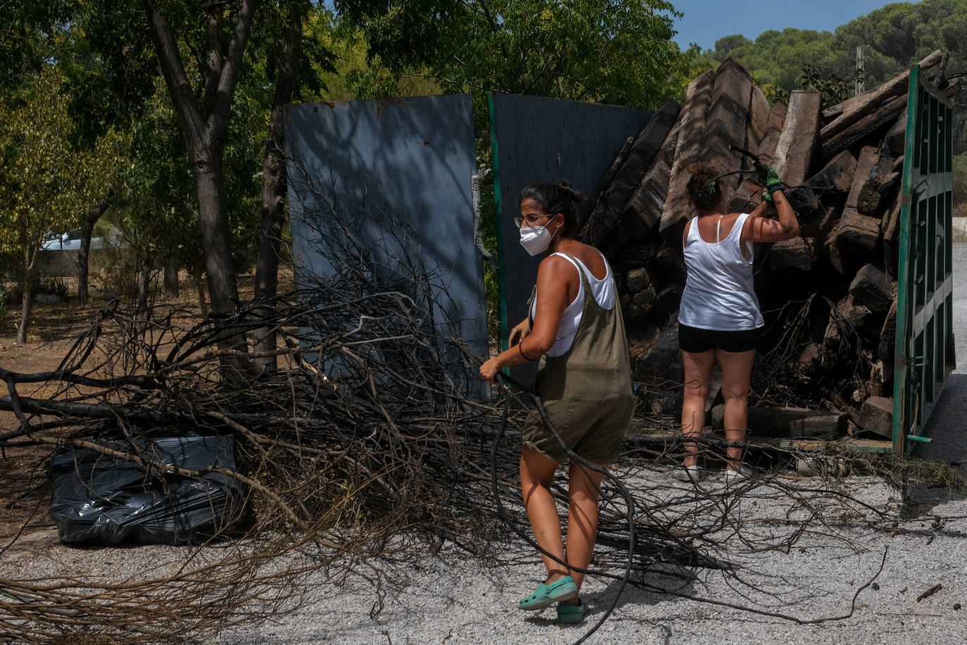 El día después en Puerto Real: la ciudad despierta entre las cenizas