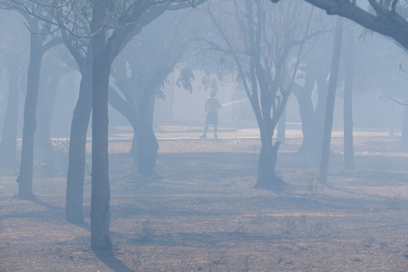 Así era el parque natural de Las Canteras y así ha quedado tras el incendio