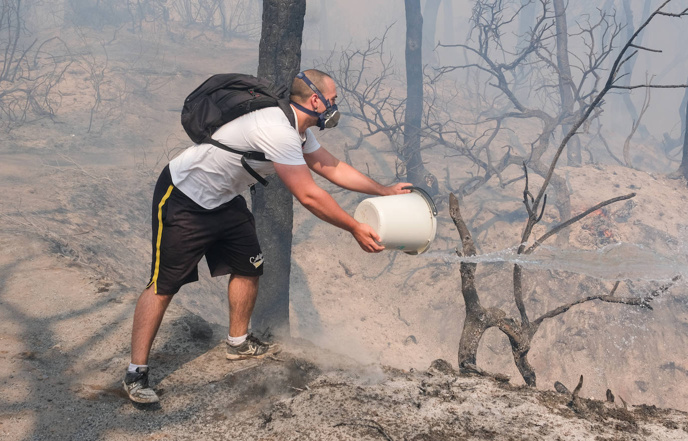 Así era el parque natural de Las Canteras y así ha quedado tras el incendio