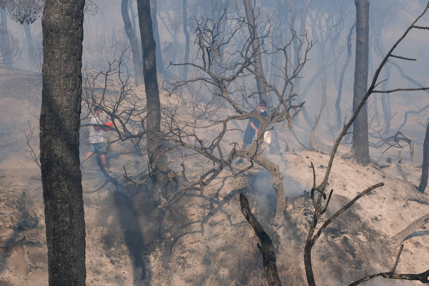 Así era el parque natural de Las Canteras y así ha quedado tras el incendio