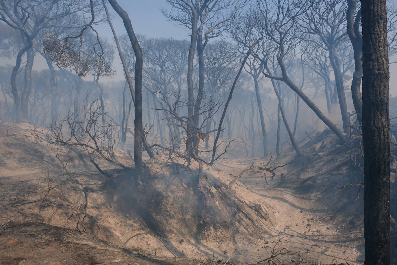 Así era el parque natural de Las Canteras y así ha quedado tras el incendio