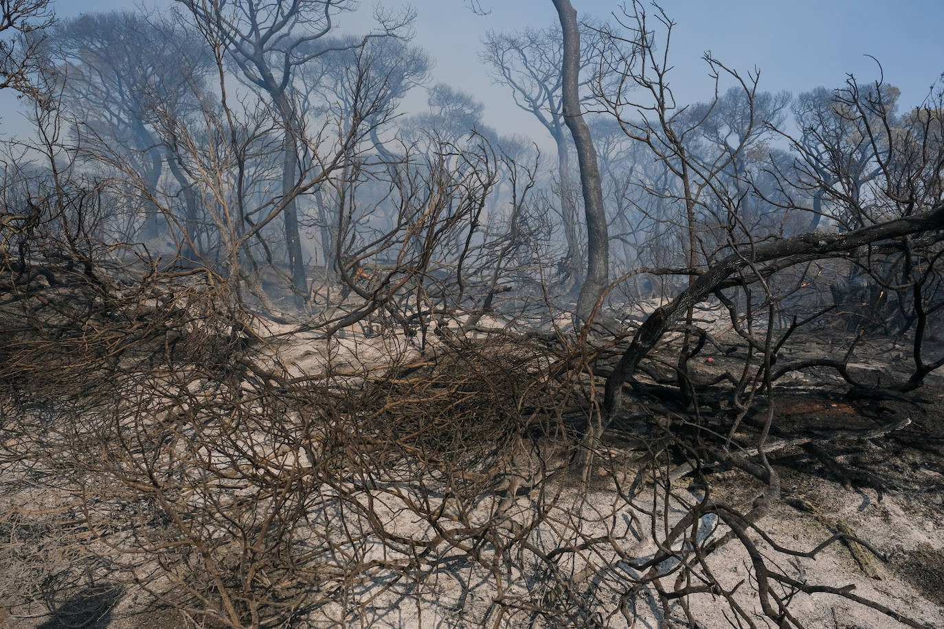 Así era el parque natural de Las Canteras y así ha quedado tras el incendio