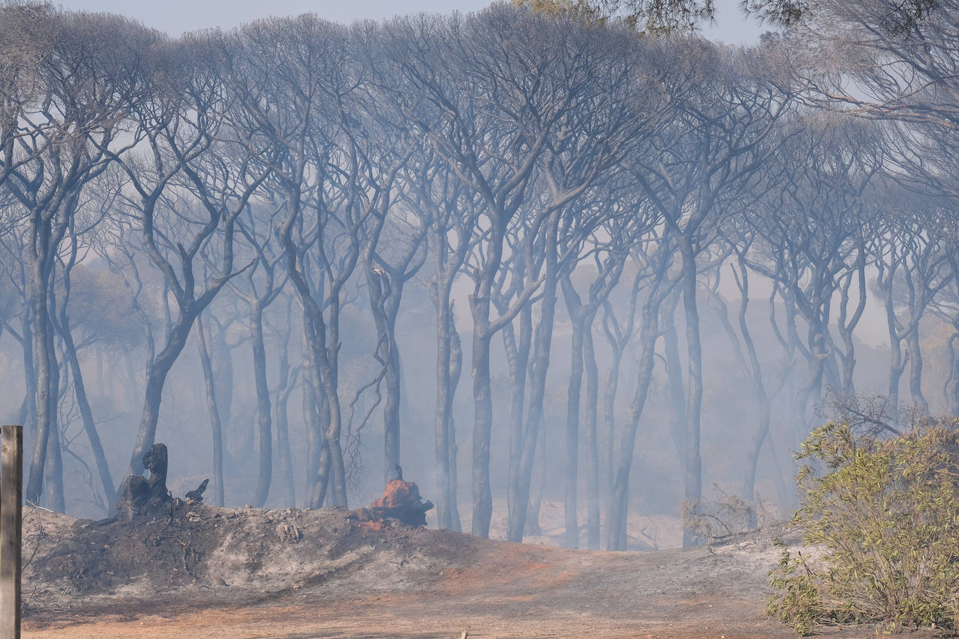 Así era el parque natural de Las Canteras y así ha quedado tras el incendio