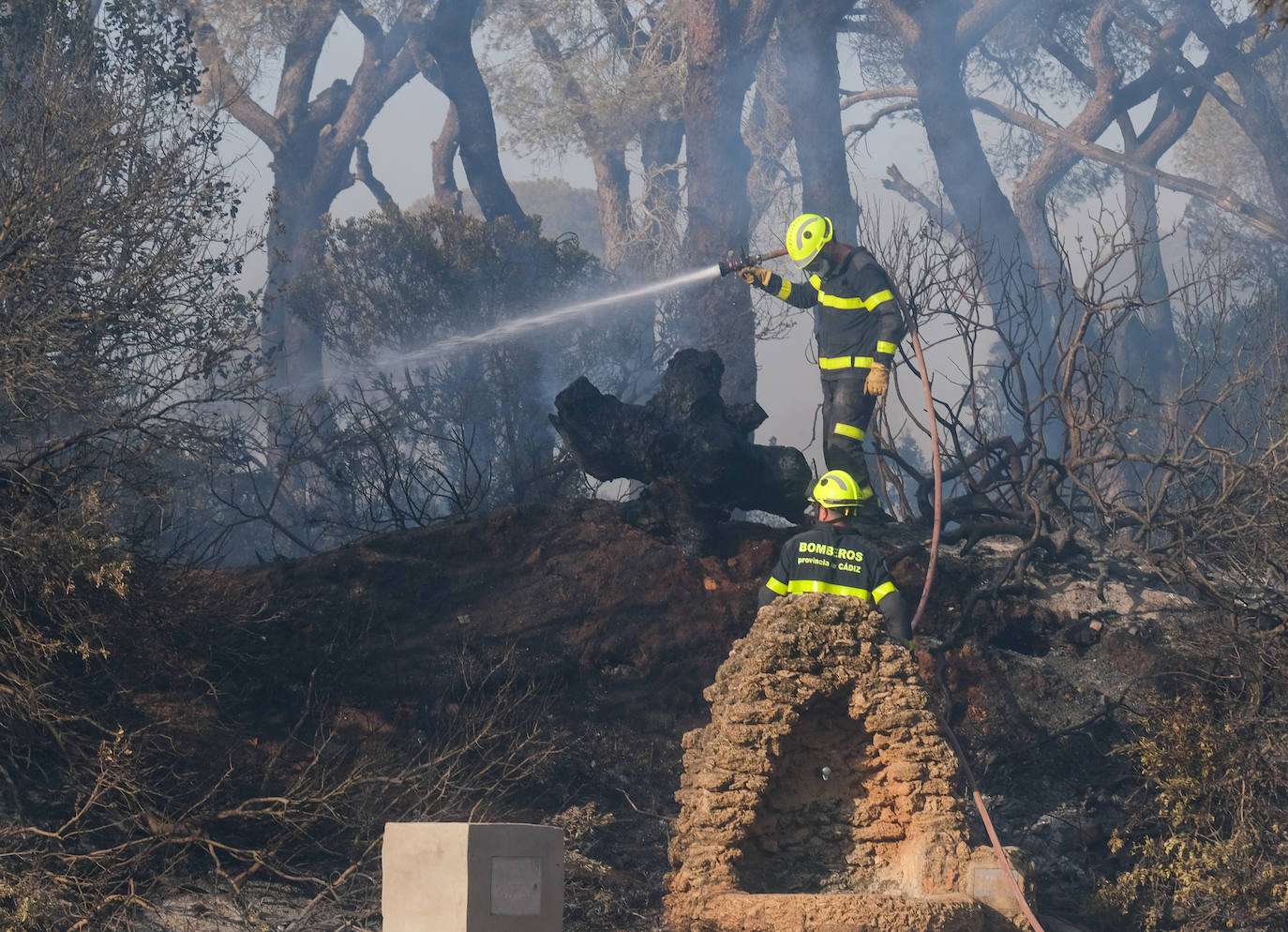 Así era el parque natural de Las Canteras y así ha quedado tras el incendio