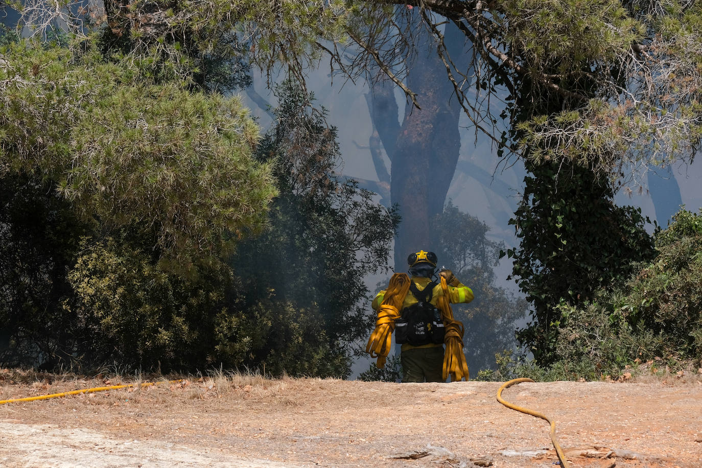 Así era el parque natural de Las Canteras y así ha quedado tras el incendio