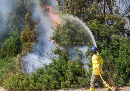 Las primeras consecuencias del incendio en Puerto Real: 60 hectáreas afectadas y 46 personas atendidas