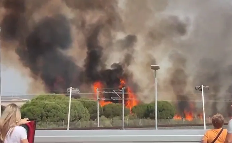 Imagen principal - Un incendio en el Tiro Pichón, en El Puerto, obliga a suspender temporalmente el tren de Cercanías