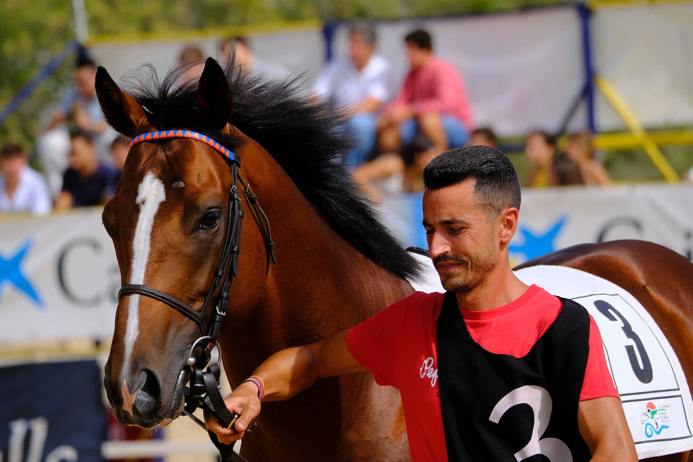 Fotos: Carreras de Caballos de Sanlúcar 2023 (jueves 10 de agosto)