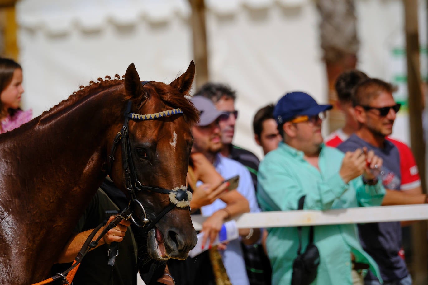 Fotos: Carreras de Caballos de Sanlúcar 2023 (jueves 10 de agosto)