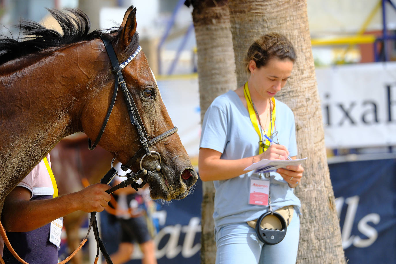 Fotos: Carreras de Caballos de Sanlúcar 2023 (jueves 10 de agosto)