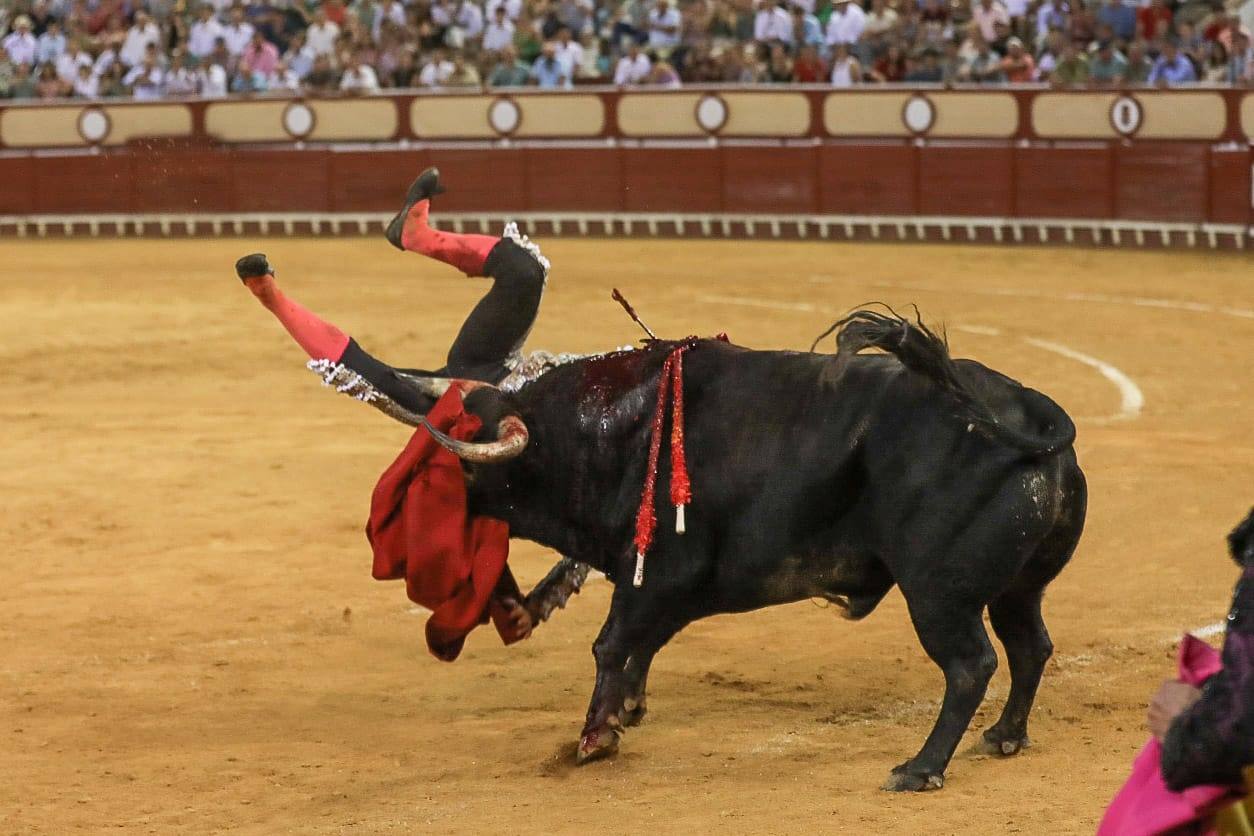 FOTOS: Morante, Talavante y Aguado en la plaza de toros de El Puerto