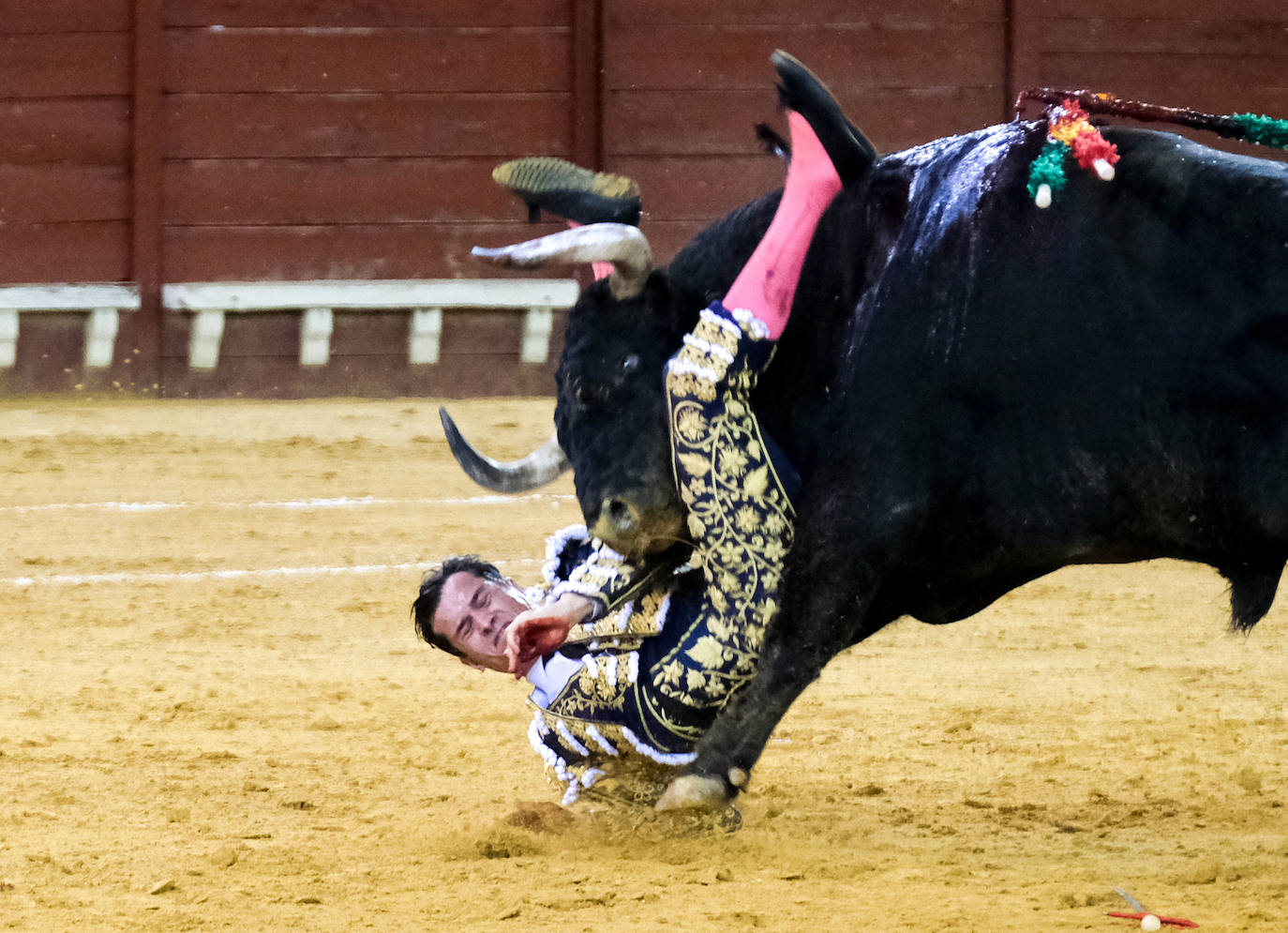 En imágenes: La cornada a Daniel Luque en El Puerto