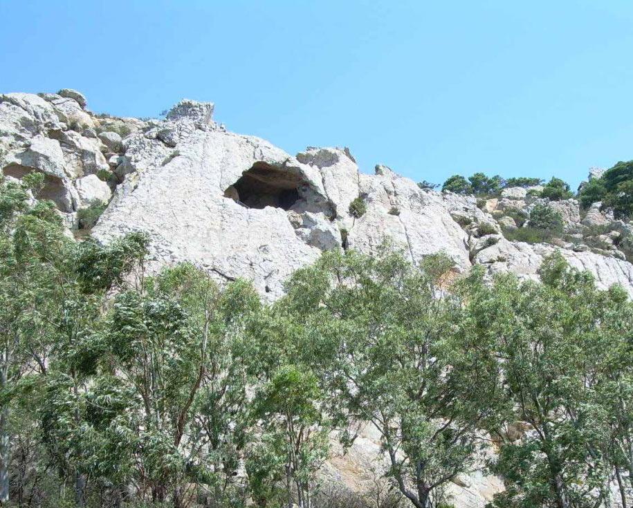 Qué ver en Bolonia: 10 sitios imprescindibles de la joya de Tarifa