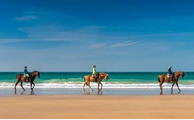 Los mejores planes para hacer en la costa de Cádiz cuando hace viento de levante y no puedes ir a la playa